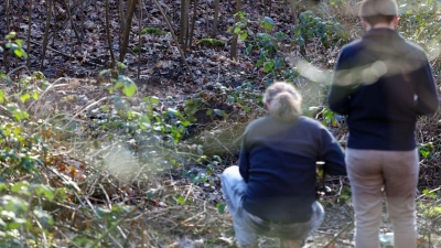 In diesem Waldstück in Duisburg wurde die Leiche einer Frau gefunden. (Foto: Christoph Reichwein/dpa)