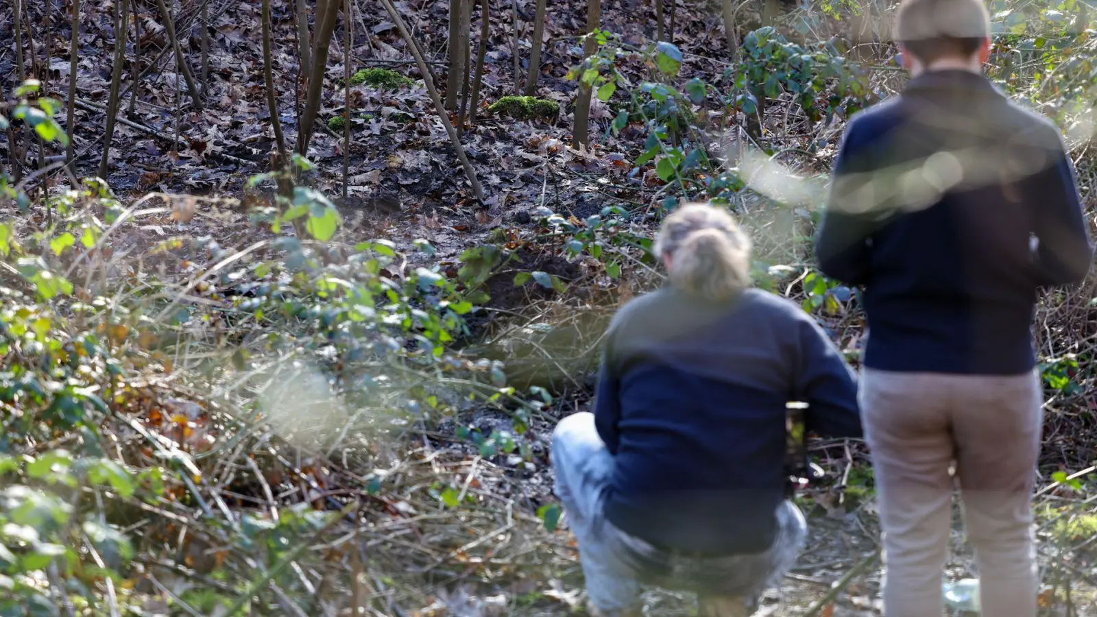 In diesem Waldstück in Duisburg wurde die Leiche einer Frau gefunden. (Foto: Christoph Reichwein/dpa)
