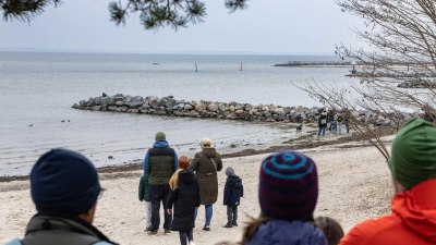 Das Schicksal des Buckelwals bewegt viele Menschen. (Foto: Ulrich Perrey/dpa)