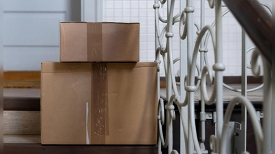 Die Katze hatte sich nach bisherigen Erkenntnissen unbemerkt in den Karton gelegt. (Symbolbild) (Foto: Sven Hoppe/dpa)