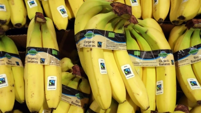 Bei Bananen ist die Nachfrage zuletzt besonders rasant gestiegen. (Foto: Wolfgang Kumm/dpa)