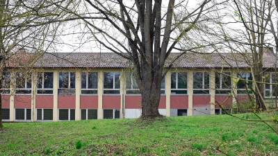 Die über 100 Jahre alte Flatterulme hinter dem Schulhaus genießt Bestandsschutz. Darauf muss sich ein möglicher Investor einlassen. (Archivbild: Jim Albright)
