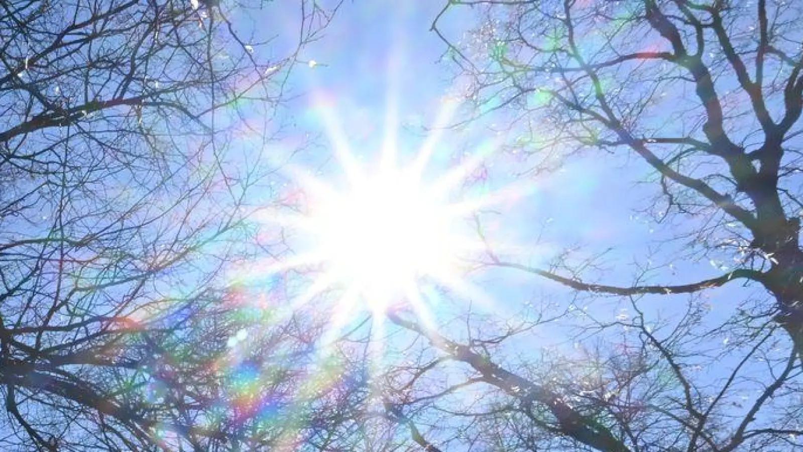 Das frühlingshafte Wetter dürfte die Menschen in Bayern nach draußen ziehen. (Foto: Felix Hörhager//dpa)