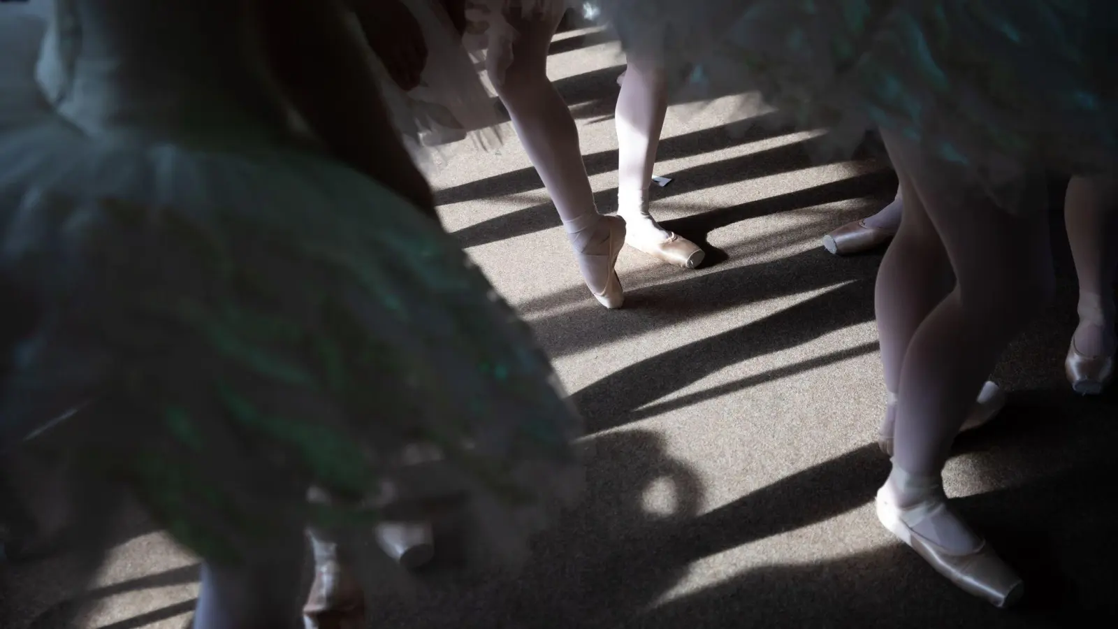 Das Staatsballett Berlin steht bei Kritikern der Fachzeitschrift hoch im Kurs. (Symbolbild) (Foto: Christoph Soeder/dpa)