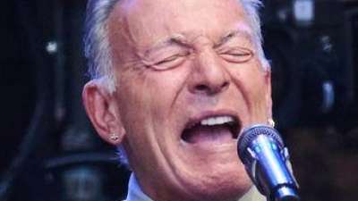 Tausende Fans sind bei dem Konzert von Bruce Springsteen in Gelsenkirchen. (Archivbild) (Foto: Annette Riedl/dpa)