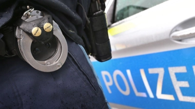 Die beiden Zeugen hielten den Dieb fest, bis die Polizei eintraf. (Symbolbild) (Foto: Karl-Josef Hildenbrand/dpa)