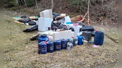 Der riesige Müllberg wurde in einem Wald abgeladen (Foto: -/Polizeipräsidium Ulm/dpa)