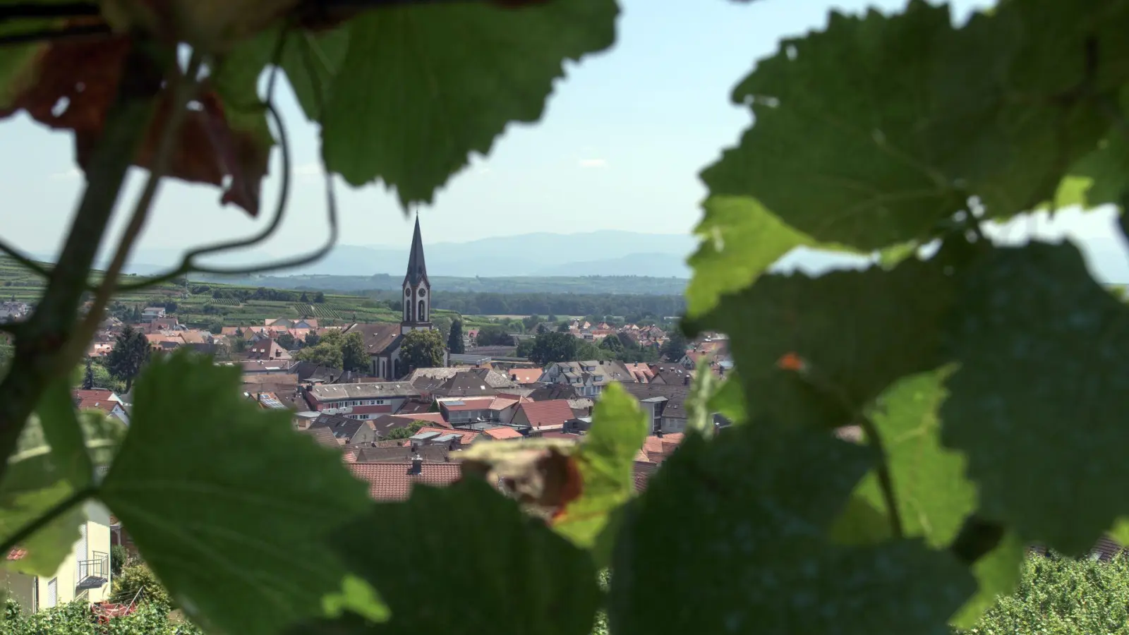 Ist geprägt von Wein und dessen Anbau: Ihringen am Kaiserstuhl. (Foto: Patrick Seeger/dpa/dpa-tmn)