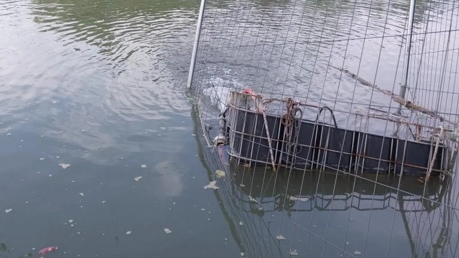 Ein Provisorium soll die Fische in der Winterung vorerst mit Sauerstoff versorgen.  (Foto: Katrin Merklein)