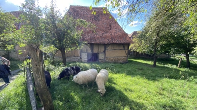 Am 14. März startet das Fränkische Freilandmuseum in die neue Saison.  (Foto: Nicole Gunkel)