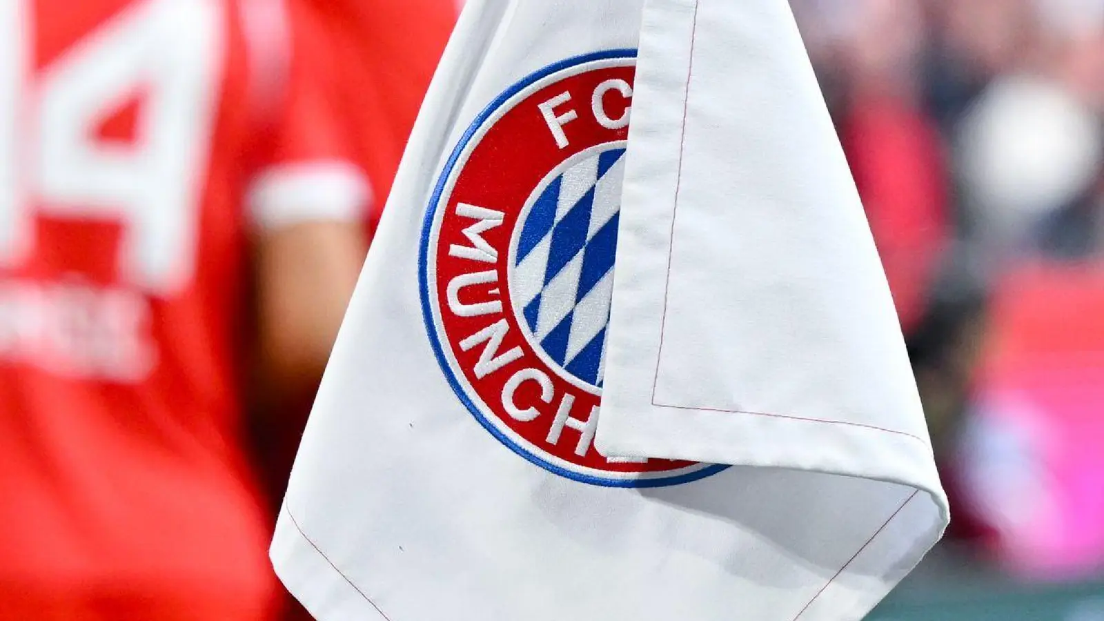 Beim Spiel zwischen dem FC Bayern und dem Hamburger SV gab es in der zweiten Hälfte zwei Notfälle unter Fans. (Foto: Sven Hoppe/dpa)