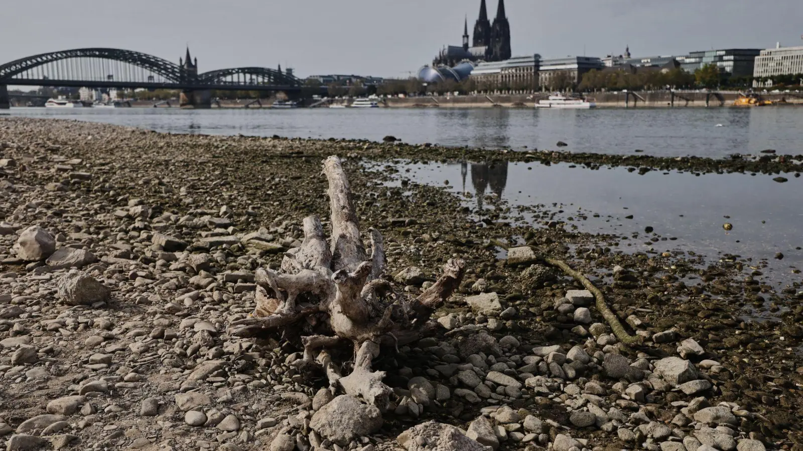 Auch viele deutsche Flüsse hatten sehr niedrige Pegelstände. (Symbolbild)  (Foto: Oliver Berg/dpa)