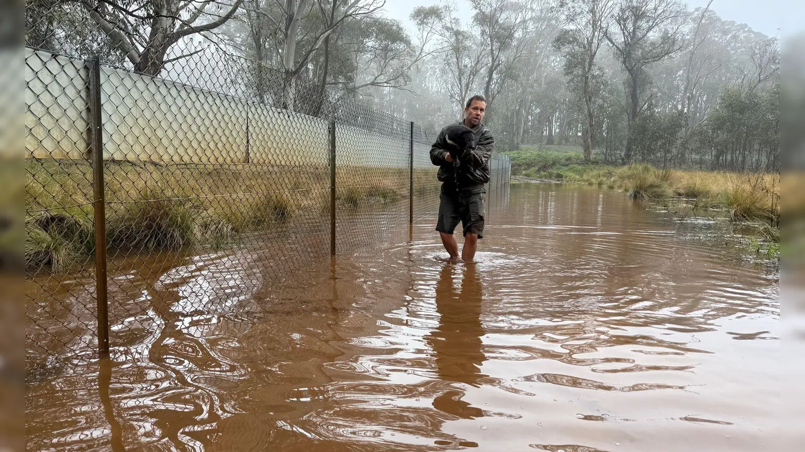 Aussie-Ark-Direktor Tim Faulkner brachte viele Tiere in Sicherheit - wie diesen Tasmanischen Teufel.  (Foto: --/Aussie Ark/dpa)