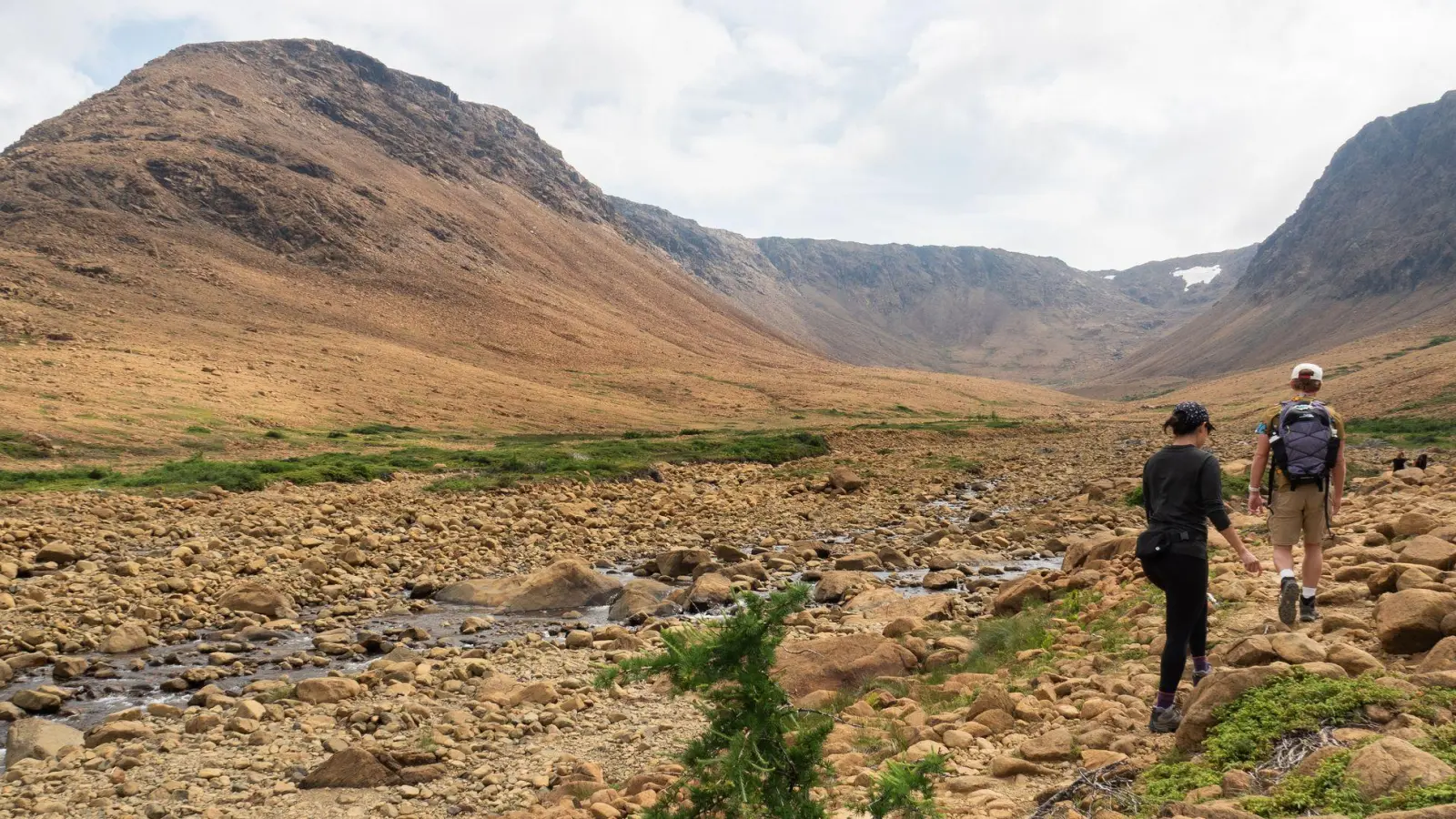 Von wegen nur Steine: In den Tablelands teilt sich die Landschaft eindrucksvoll mit. (Foto: Andreas Drouve/dpa-tmn)