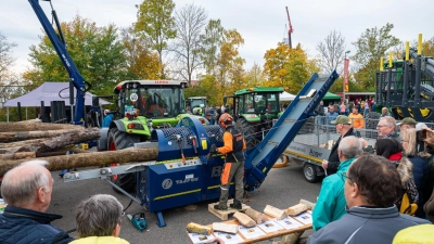 Beim Holztag in Scheinfeld ist jedes Jahr viel geboten. (Archivbild: Mirko Fryska)