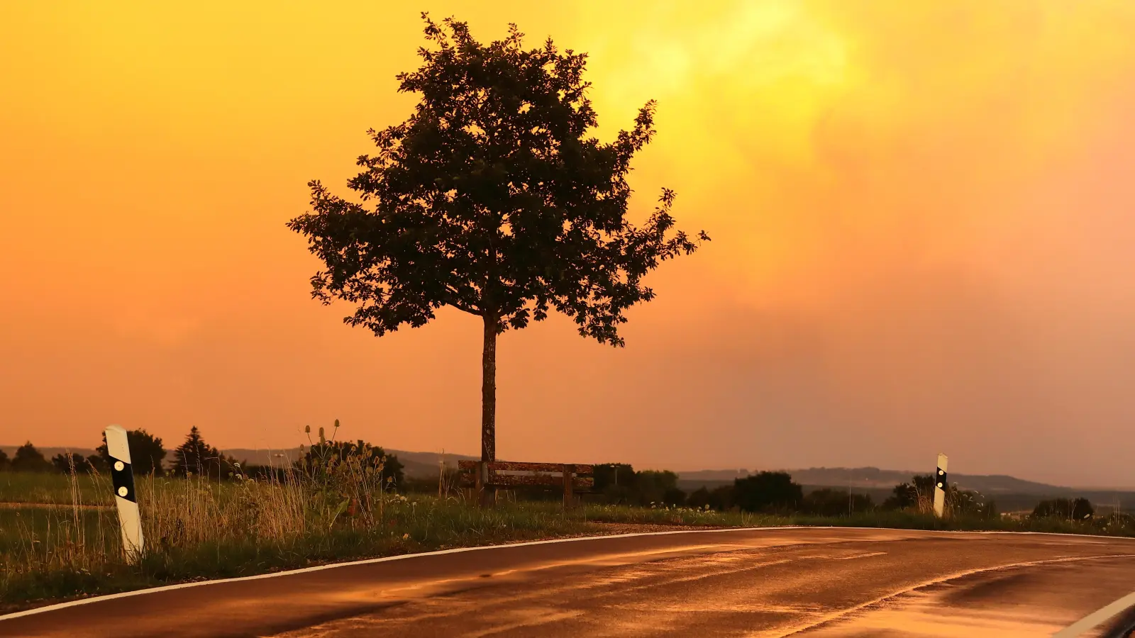 Die Welt in Orange – gesehen bei Beyerberg (Foto: Kurt Kochler)