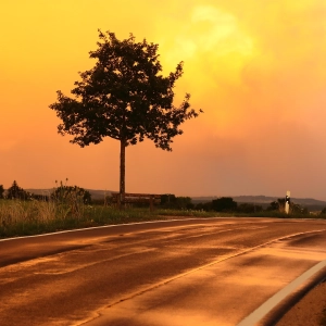 Die Welt in Orange – gesehen bei Beyerberg (Foto: Kurt Kochler)