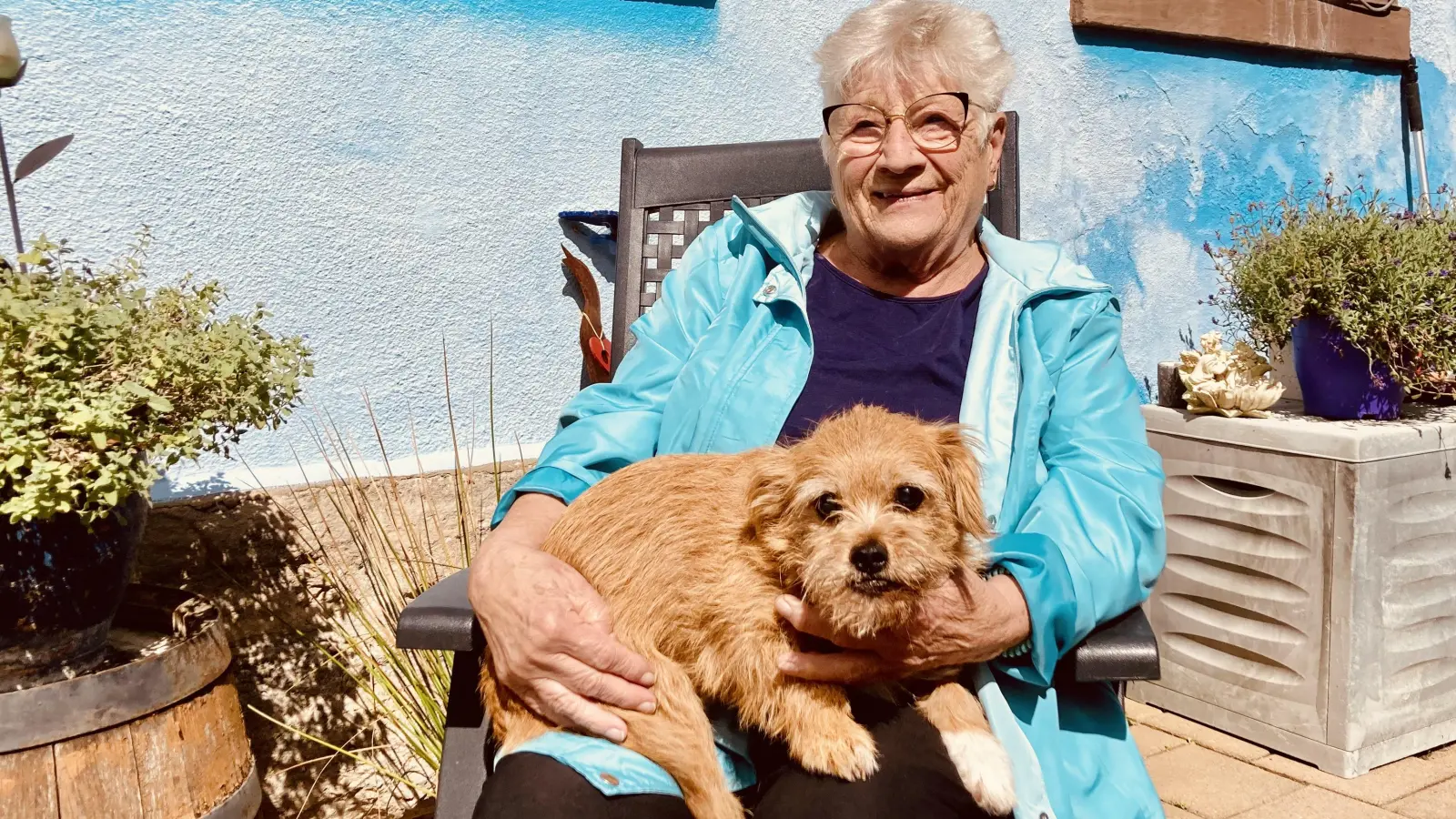 Dagmar Wiegmann (hier mit Rüde Mugli) ist Vorsitzende des Tierschutzvereins Rothenburg o.d.T. und Umgebung. Das Tierheim leitet sie seit 1992. (Foto: Corinna Müller)