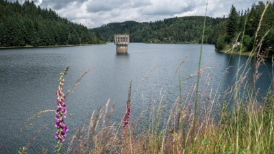 Bei den Plänen zur Stärkung der Fernwasserversorgung in Bayern rückt die Option einer dritten Talsperre, wie hier die Ködeltalsperre in Oberfranken, in den Fokus. (Archivbild) (Foto: Daniel Vogl/dpa)