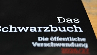 Dieses Jahr geht es besonders um staatliche Förderprogramme. (Archivbild) (Foto: Shireen Broszies/dpa)