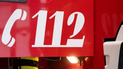 Mehrere Schweine starben in den Flammen am frühen Morgen. (Symbolbild) (Foto: Niklas Treppner/dpa)