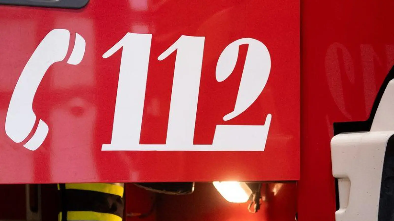 Mehrere Schweine starben beim Brand am frühen Morgen. (Symbolbild) (Foto: Niklas Treppner/dpa)