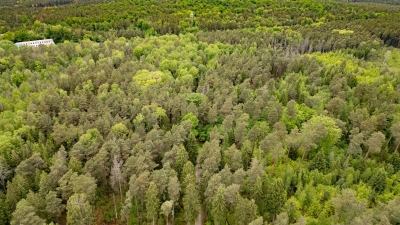 Tod einer 21-Jährigen im Wald - Ermittlungen gegen Jugendlichen wegen Totschlags  (Foto: Robert Michael/dpa)