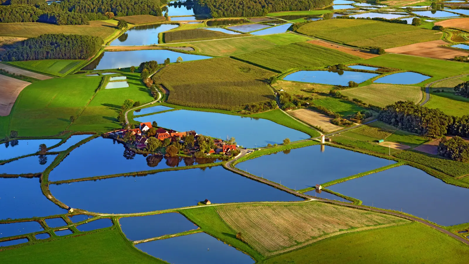 Wie eine Linse im Weiheridyll: Für seine besondere Lage ist der Uehlfelder Ortsteil Gottesgab Dauergast in Bildbänden. Mit der Dorferneuerung soll der Ort noch attraktiver werden. (Foto: Nürnberg Luftbild/Hajo Dietz)