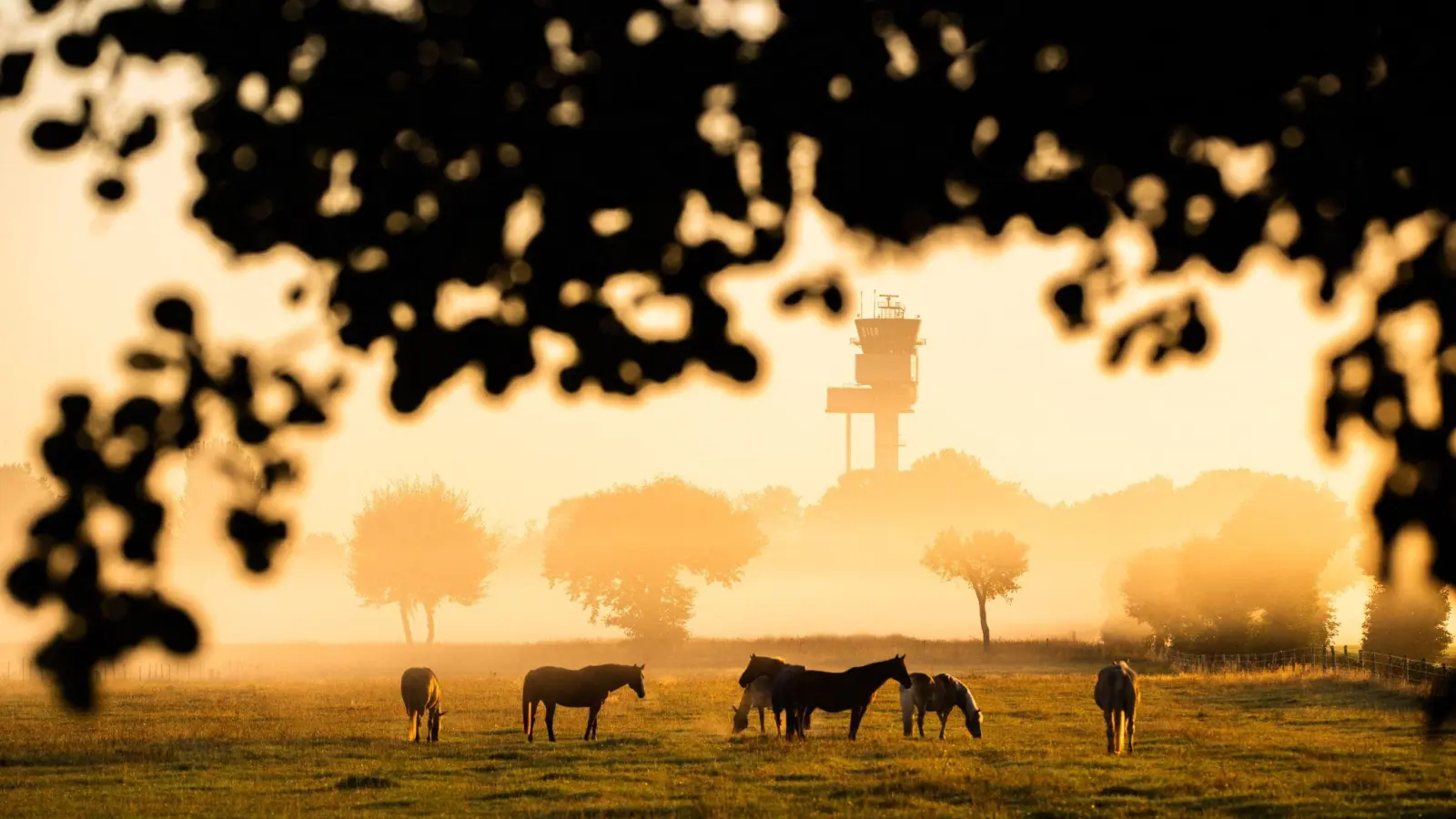 Nachdem sich die morgendliche Kühle verzogen hat, wird es wieder Sommer.  (Foto: Julian Stratenschulte/dpa)