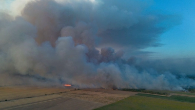 Schon früher gab es hier große Brände: die Gohrischheide zwischen Sachsen und Brandenburg. (Foto: Daniel Wagner/dpa)