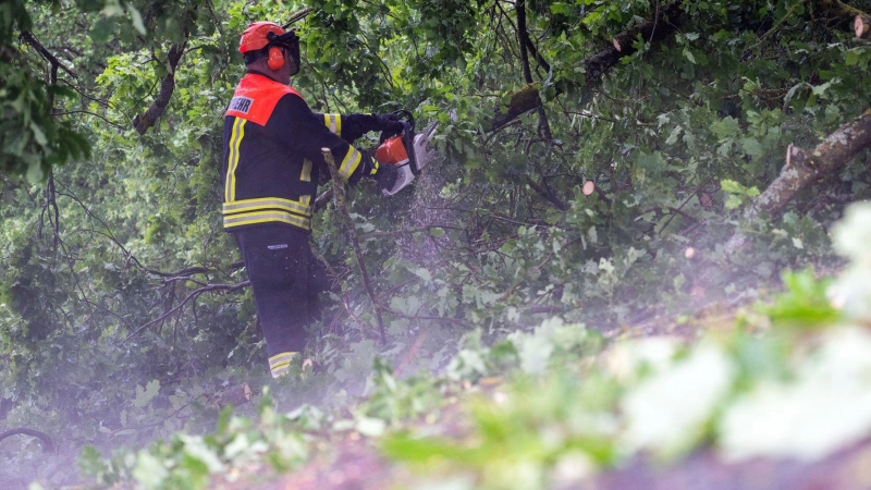 Feuerwehrleute räumten die Bäume schnell von den Autobahnen. (Symbolbild) (Foto: Pia Bayer/dpa)