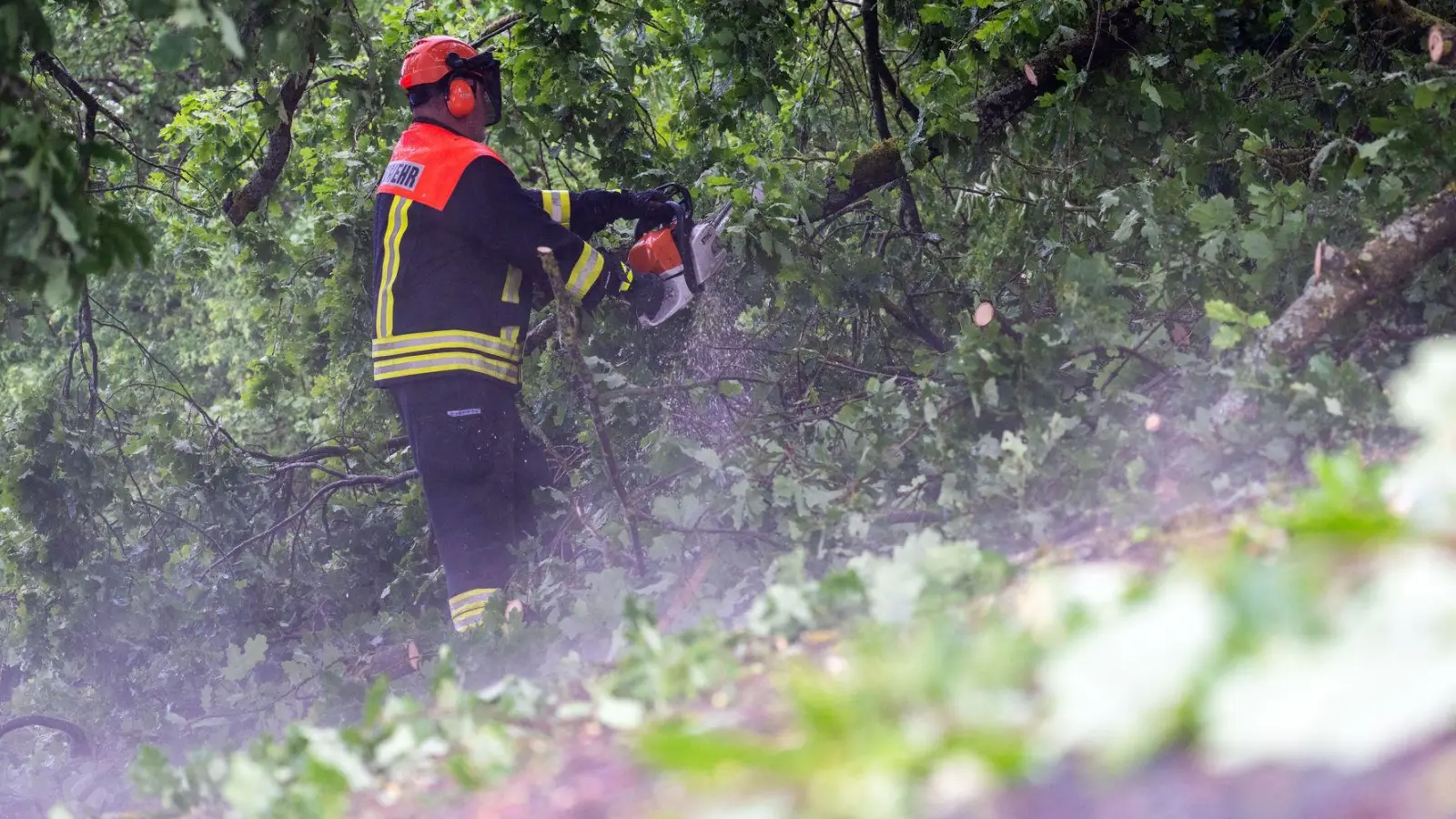 Feuerwehrleute räumten die Bäume schnell von den Autobahnen. (Symbolbild) (Foto: Pia Bayer/dpa)