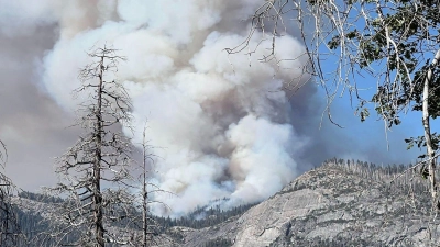 Die Umweltschäden durch Waldbrände sind immens. (Archivbild) (Foto: Uncredited/National Parks Service/AP/dpa)