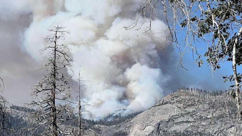 Die Umweltschäden durch Waldbrände sind immens. (Archivbild) (Foto: Uncredited/National Parks Service/AP/dpa)