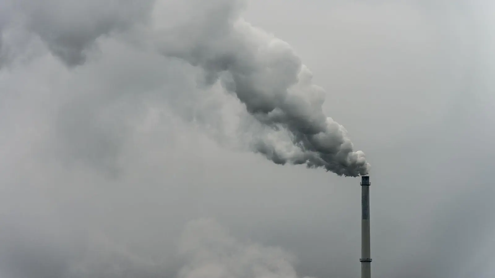 Rauch steigt aus dem Schornstein einer Fabrik. Das Wirtschaftswachstum in Deutschland wird nach Einschätzung vieler Fachleute auch in den kommenden Jahren nahezu stagnieren. (Symbolbild) (Foto: picture alliance / dpa)