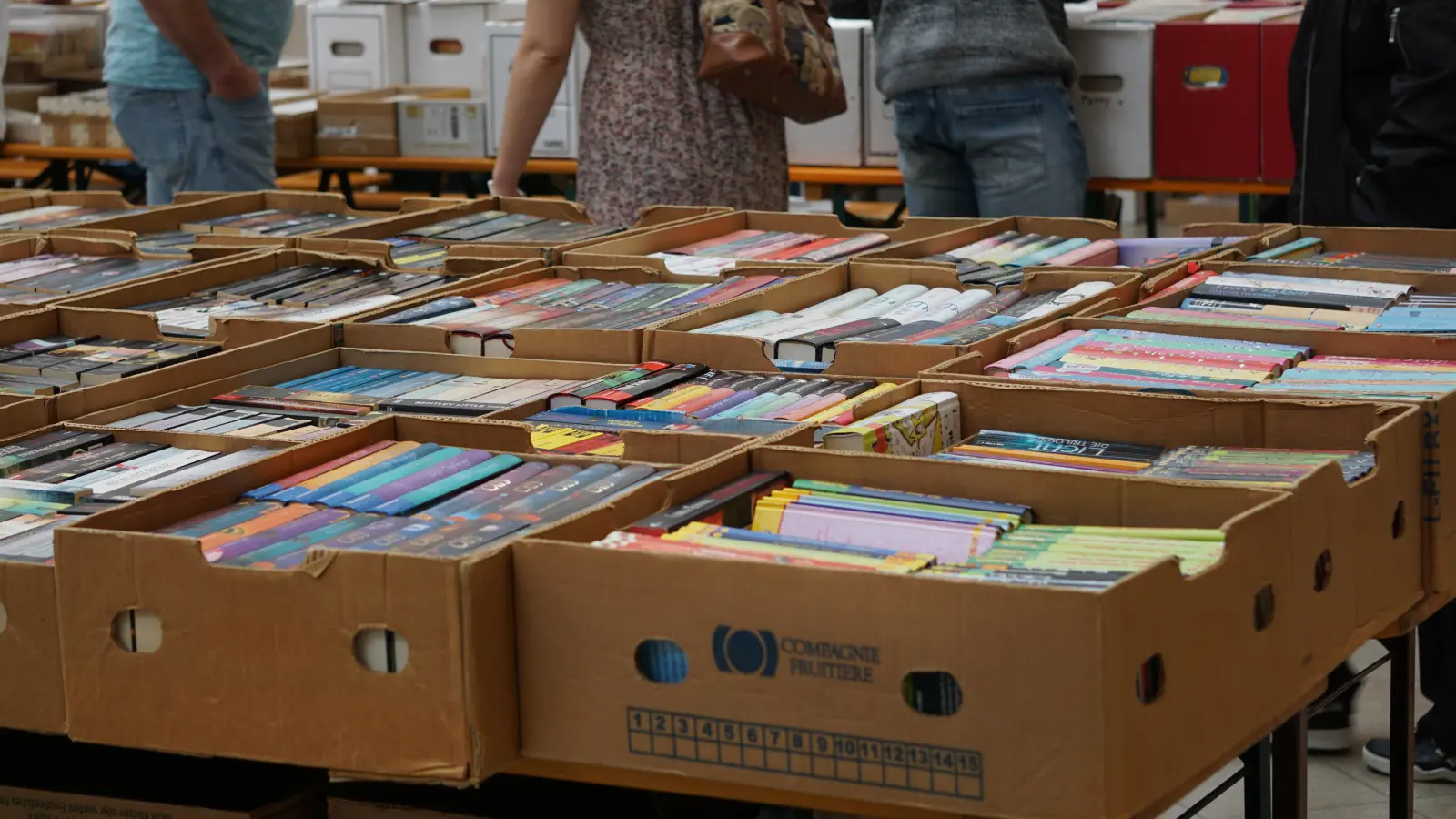 Kistenweise haben die Anbieter ihre Bestände nach Ansbach gebracht. (Foto: Paul Wiese)