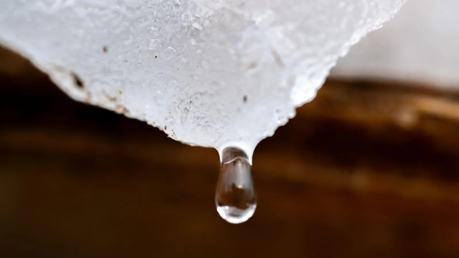 Ade, Schnee! Nach Schneefällen in den vergangenen Tagen hat der DWD teils zweistellige Temperaturen im Freistaat angekündigt. (Symbolbild) (Foto: Pia Bayer/dpa)
