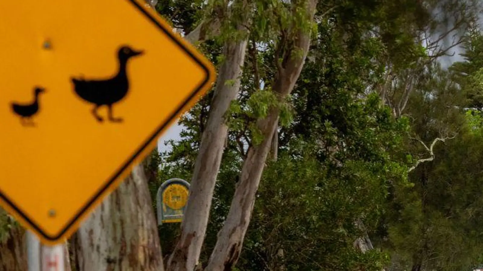 Straßen wurden völlig überschwemmt, Tausende sind ohne Strom. (Foto: Lindsay Moller/AAP/dpa)