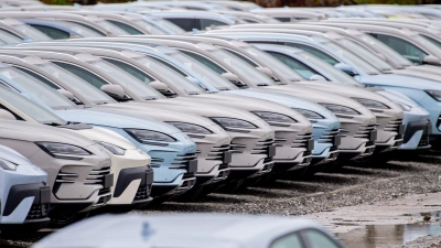 Der chinesische E-Auto-Hersteller BYD konnte seinen Absatz in Deutschland im Oktober erneut steigern. (Archivbild) (Foto: Hauke-Christian Dittrich/dpa)