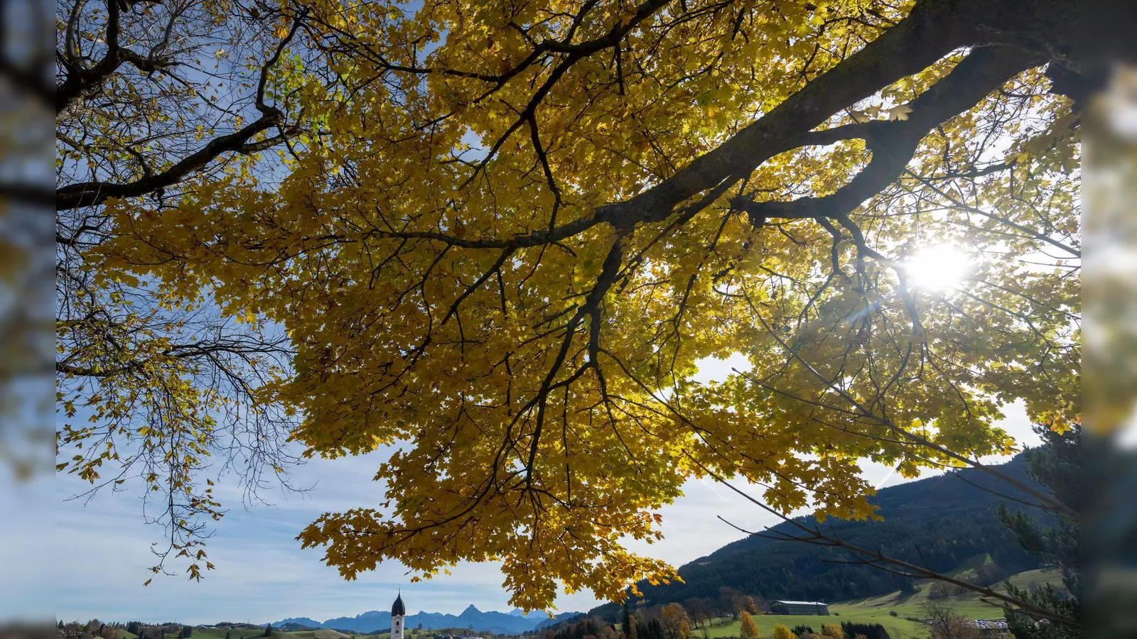 Viel Sonne wird vor allem im Alpenvorland erwartet. (Symbolbild) (Foto: Stefan Puchner/dpa)