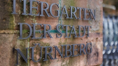 Heute bleibt der Tiergarten geschlossen. (Archivbild) (Foto: Daniel Karmann/dpa)