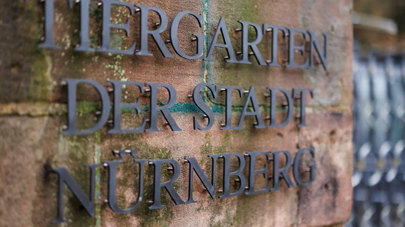 Heute bleibt der Tiergarten geschlossen. (Archivbild) (Foto: Daniel Karmann/dpa)