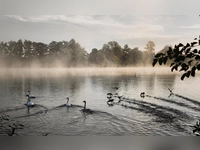 Morgendliches Erwachen - gesehen in Dinkelsbühl (Foto: Christina Schöllhammer)