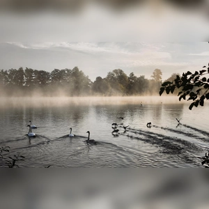 Morgendliches Erwachen - gesehen in Dinkelsbühl (Foto: Christina Schöllhammer)