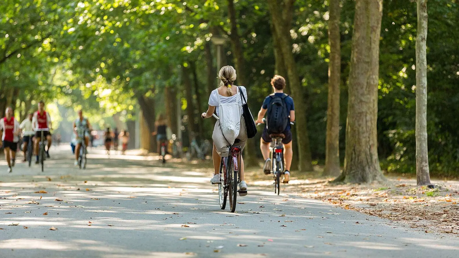 Stadtbäume sind „Alleskönner”: Sie speichern klimaschädliches Kohlendioxid, liefern Sauerstoff, kühlen und reinigen die Luft, spenden Schatten an heißen Tagen, dämpfen Umgebungslärm, beherbergen Eichhörnchen, Grünspecht und Co. und – sie tun uns einfach gut! (Foto: Misign/BN)