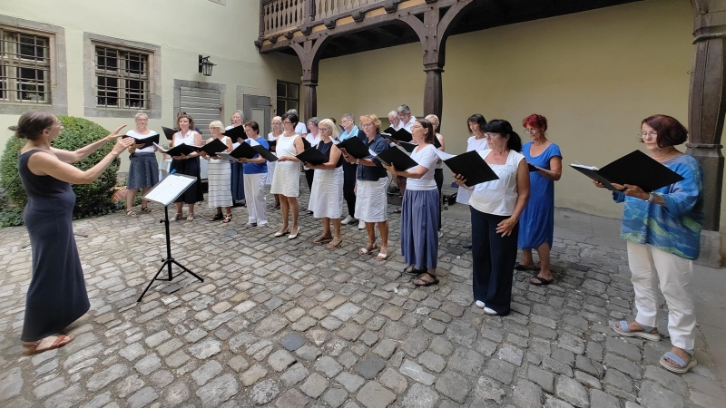 Unter Leitung von Diana Meyer trugen die Sängerinnen und Sänger von TonArt im Innenhof des Hauses der Geschichte sommerliche Lieder aus verschiedenen Zeitepochen vor.  (Foto: Julia Bergmeister)