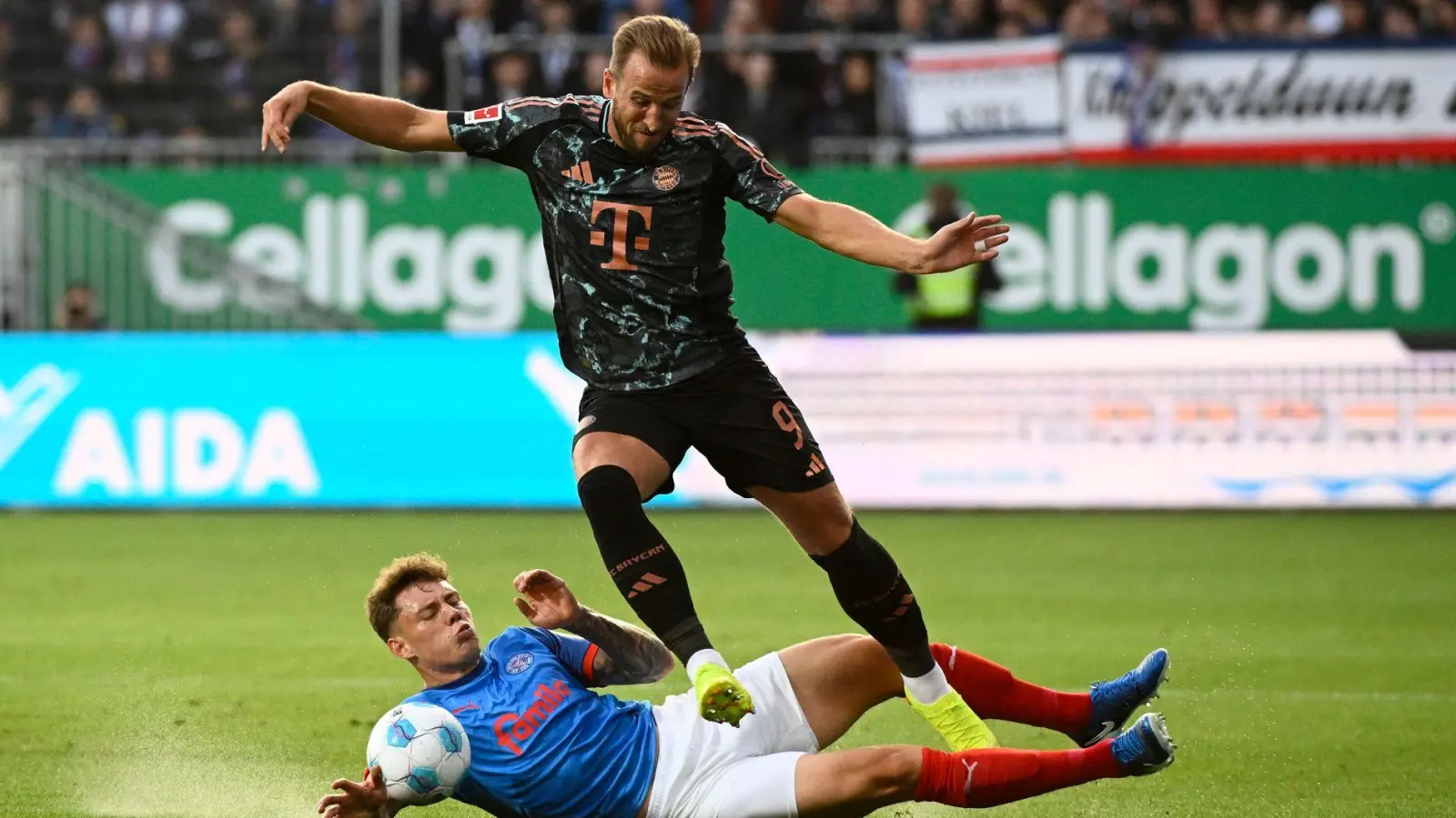 In Kiel war der dreifache Torschütze Harry Kane nicht aufzuhalten. (Foto: Gregor Fischer/dpa)