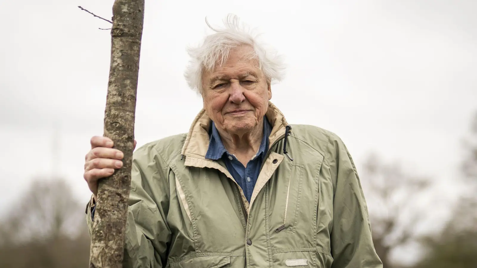 Sir David Attenborough, Naturforscher und Tierfilmer aus Großbritannien (Archivbild).  (Foto: Aaron Chown/PA Wire/dpa)