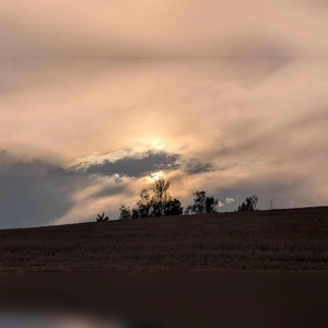 Mystisch ... - gesehen bei Prühl (Foto: Uschi Wendel)