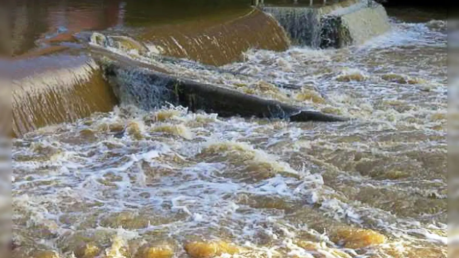 Nach einem Unglück auf dem walisischen Fluss Cleddau, bei dem 2021 vier Stand-up-Paddler starben, hat ein Gericht die Veranstalterin der Tour zu einer langen Haftstrafe verurteilt.  (Foto: -/Crown Prosecution Service via PA Media/dpa)